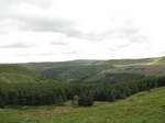 SX18225 View from Blaen y glyn forrest.jpg